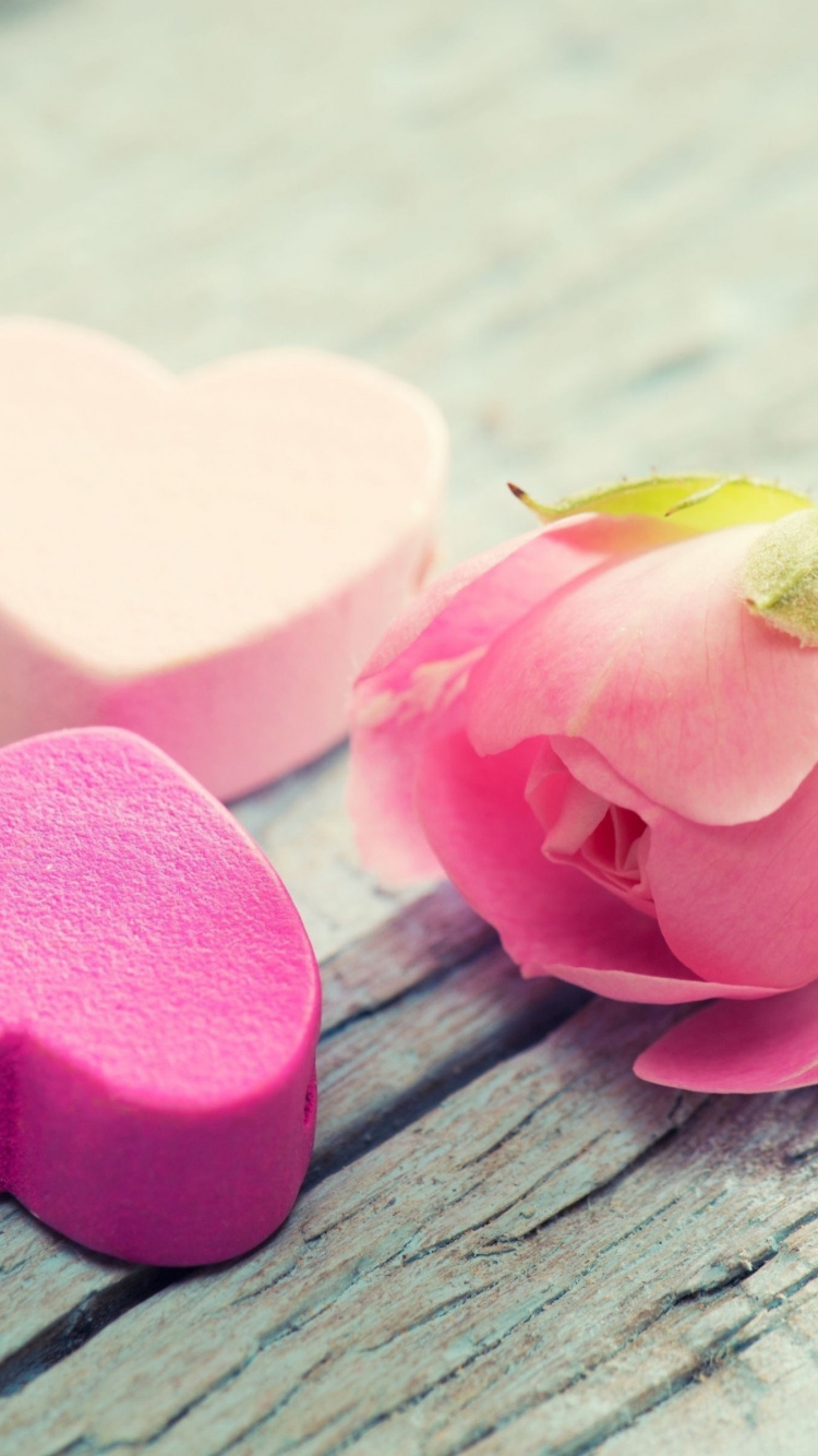 心脏, 粉红色, 棉花糖, 情侣, 粉红色的花朵 壁纸 750x1334 允许