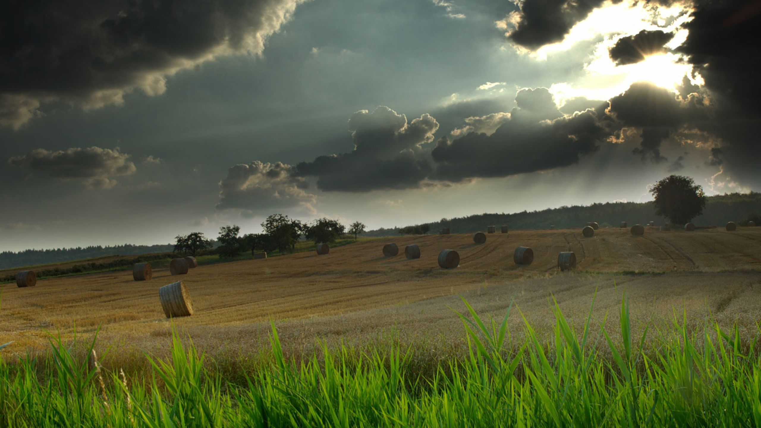 Landscape, Cloud, Natural Landscape, Nature, Green. Wallpaper in 2560x1440 Resolution