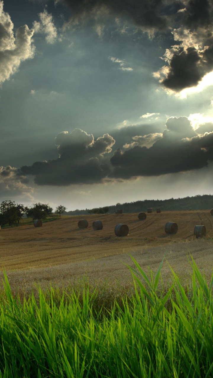 Cloud, Naturlandschaft, Natur, Gr, Grünland. Wallpaper in 720x1280 Resolution
