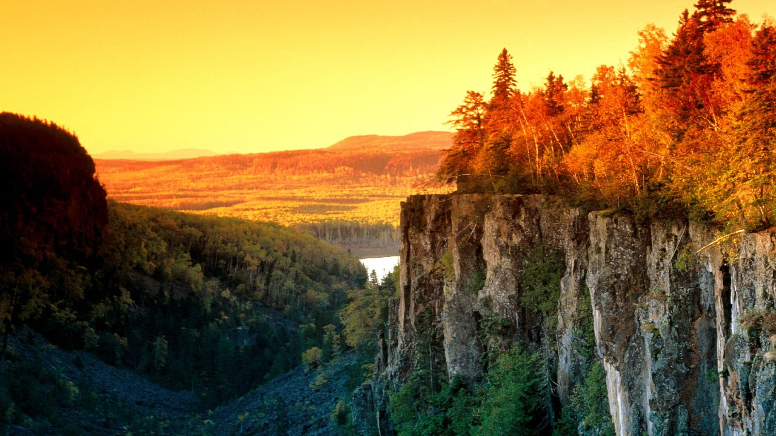 Green Trees on Mountain During Daytime. Wallpaper in 2560x1440 Resolution
