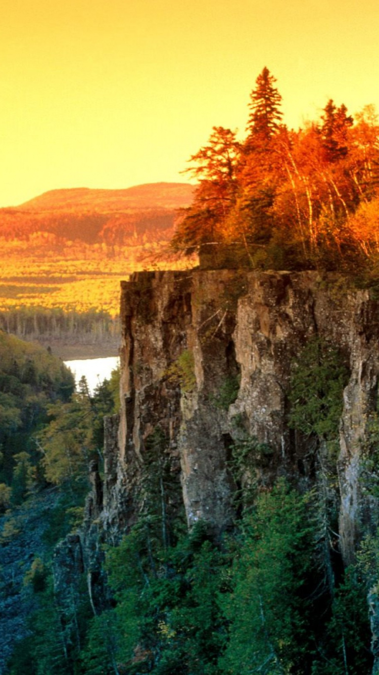 Green Trees on Mountain During Daytime. Wallpaper in 750x1334 Resolution