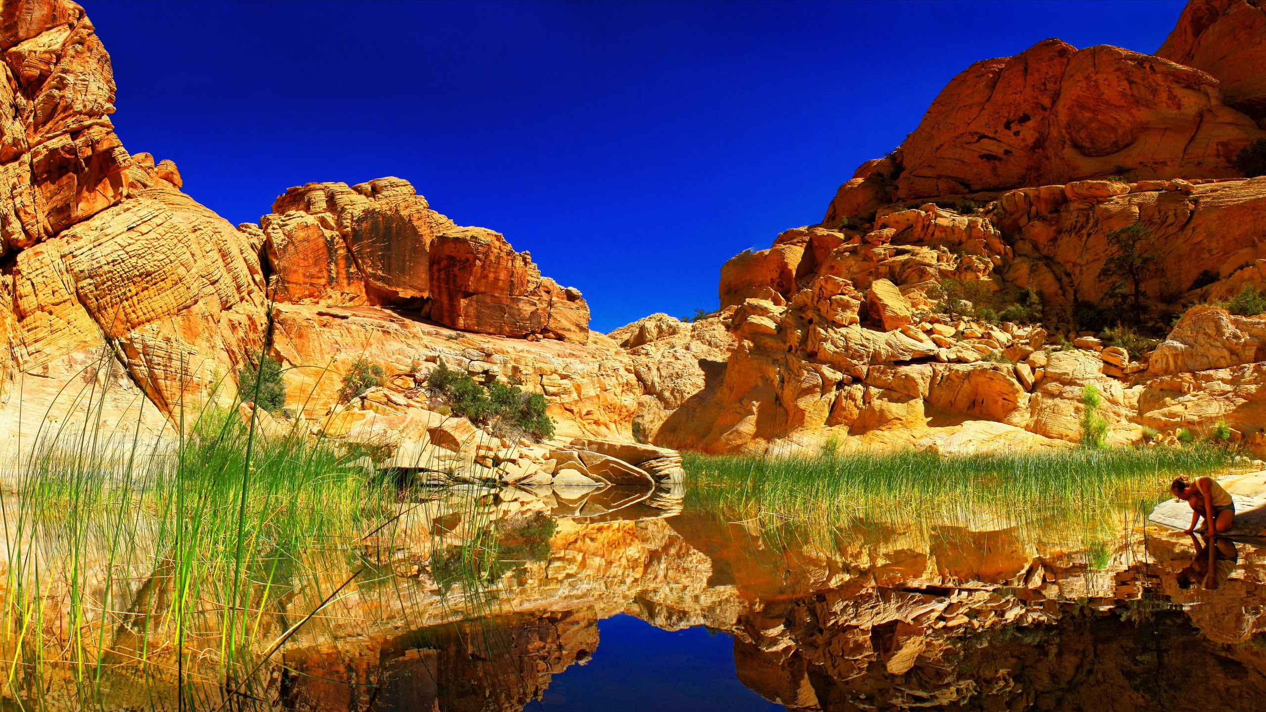 Brown Rock Formation Beside Body of Water During Daytime. Wallpaper in 2560x1440 Resolution