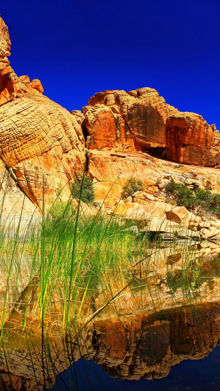 Brown Rock Formation Beside Body of Water During Daytime. Wallpaper in 720x1280 Resolution