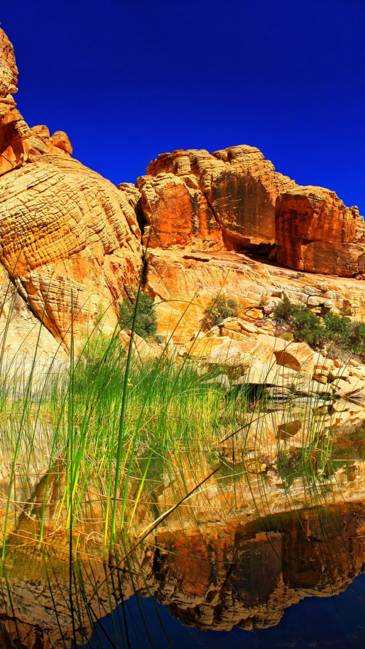 Brown Rock Formation Beside Body of Water During Daytime. Wallpaper in 750x1334 Resolution