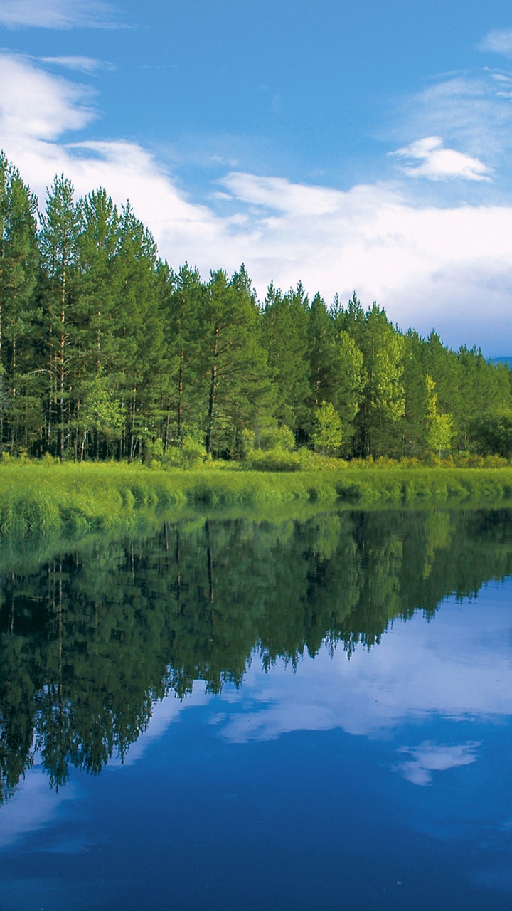 Green Trees Beside River Under Blue Sky During Daytime. Wallpaper in 720x1280 Resolution