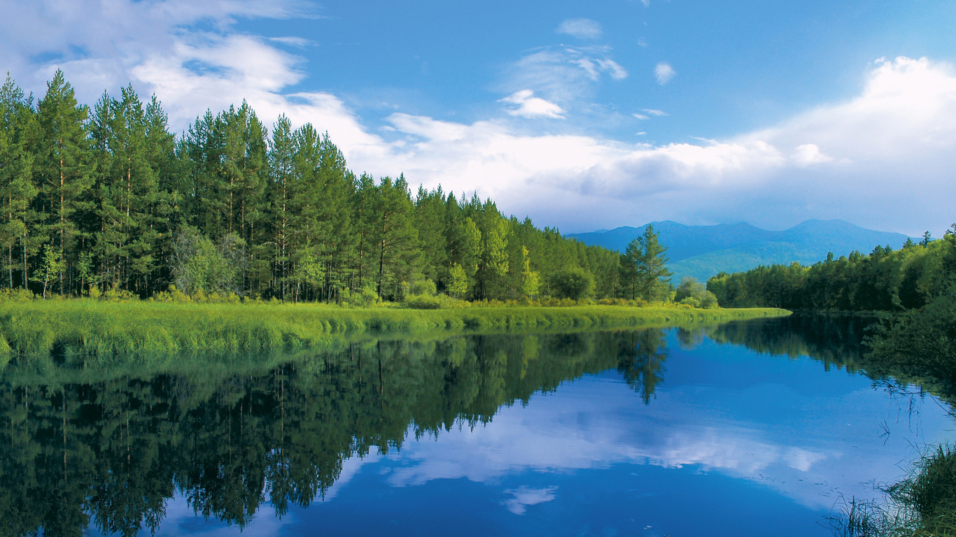 Arbres Verts à Côté de la Rivière Sous Ciel Bleu Pendant la Journée. Wallpaper in 1366x768 Resolution