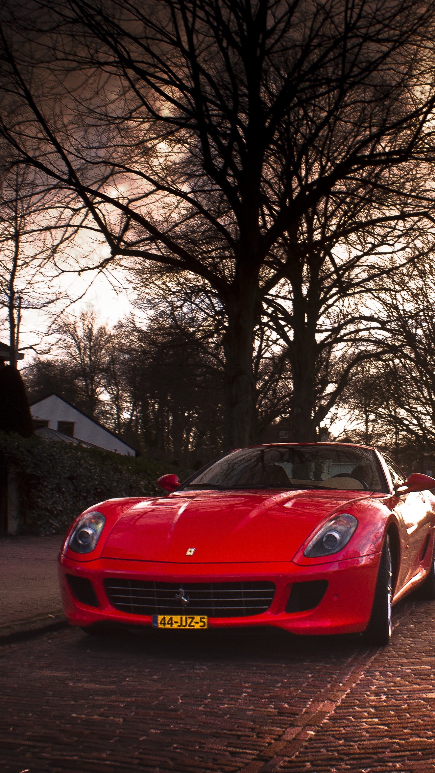 Red Ferrari Sports Car on Road Near Bare Trees During Daytime. Wallpaper in 1440x2560 Resolution
