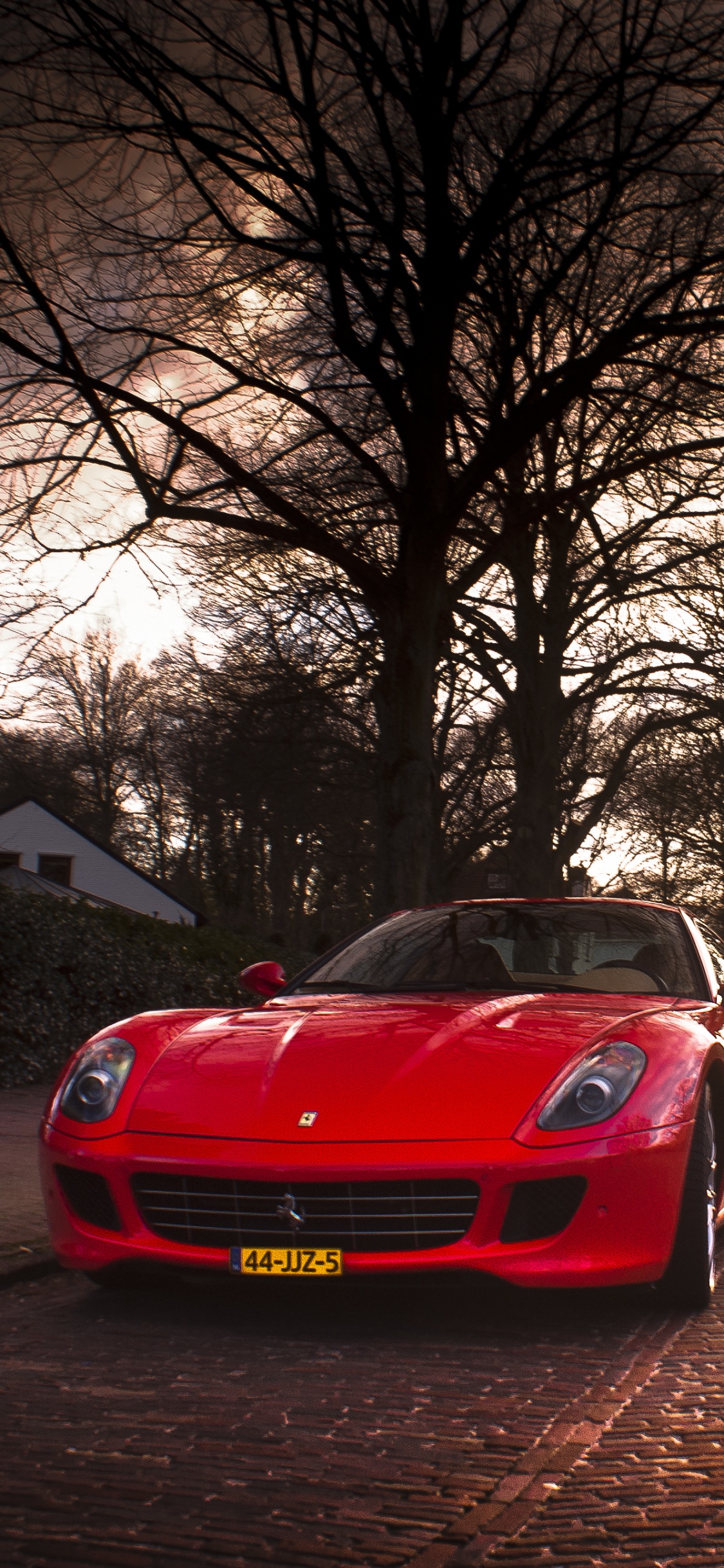 Roter Ferrari-Sportwagen Auf Der Straße in Der Nähe Von Kahlen Bäumen Tagsüber. Wallpaper in 1125x2436 Resolution