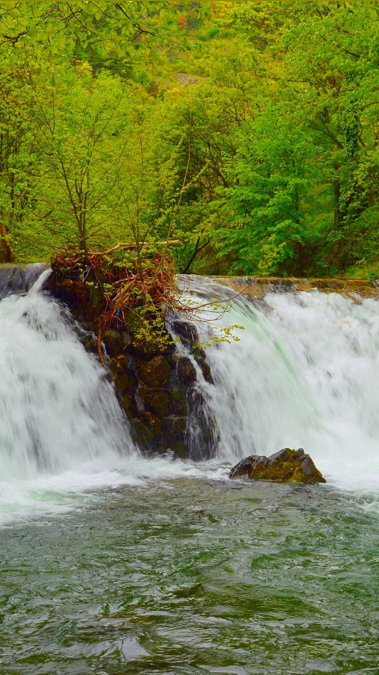 Cascades en Forêt Pendant la Journée. Wallpaper in 750x1334 Resolution