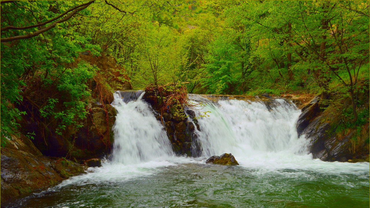 Waterfalls in Forest During Daytime. Wallpaper in 1280x720 Resolution