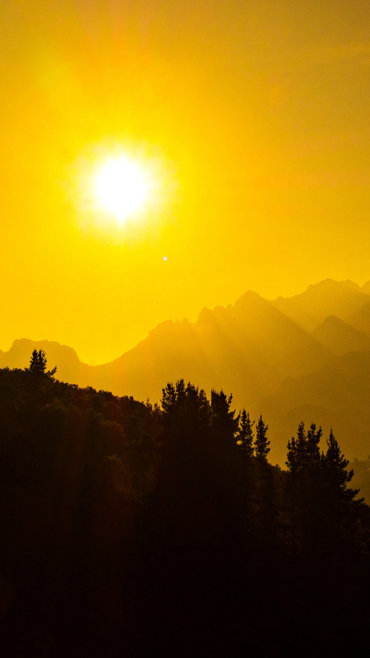 Silhouette of Trees and Mountains During Sunrise. Wallpaper in 750x1334 Resolution