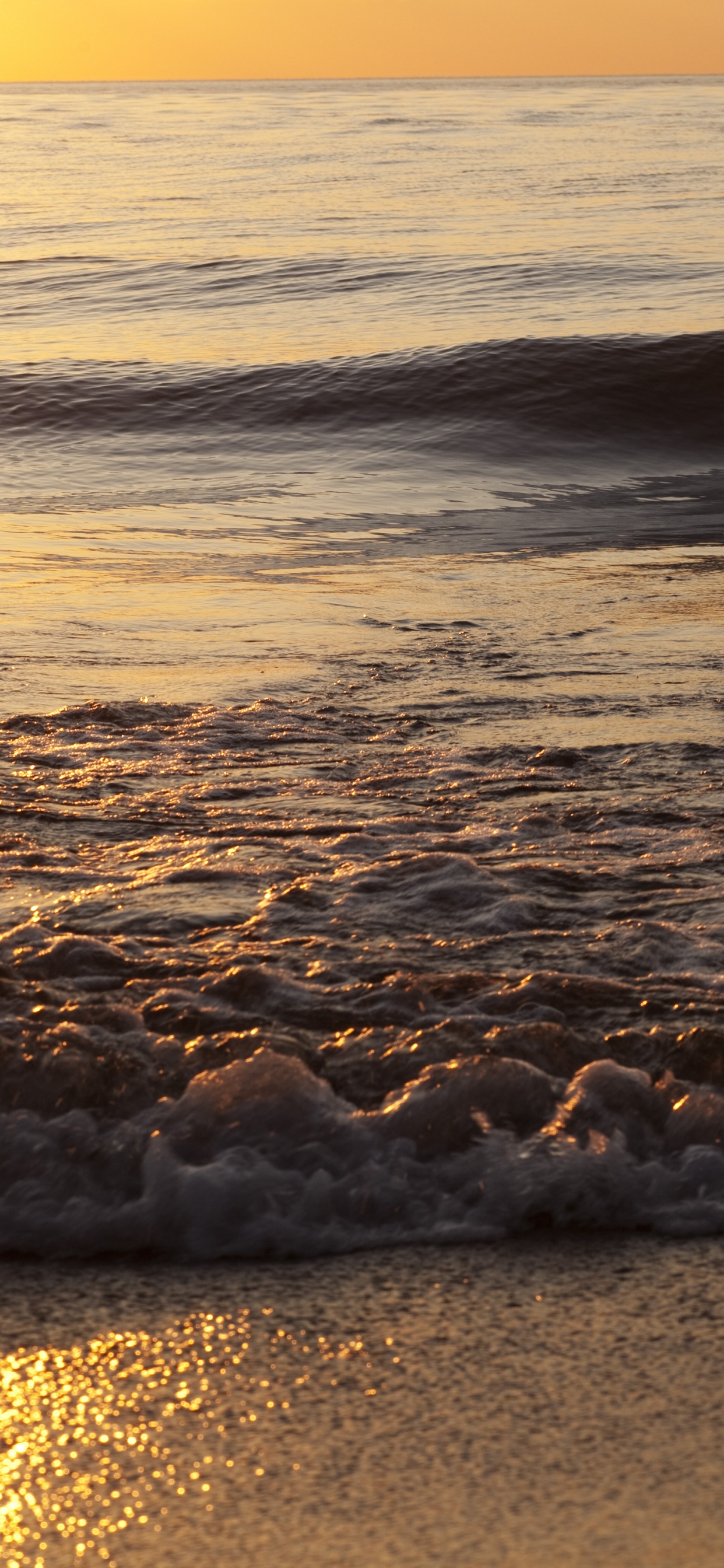 Vagues de la Mer se Brisant Sur le Rivage Pendant le Coucher du Soleil. Wallpaper in 1242x2688 Resolution