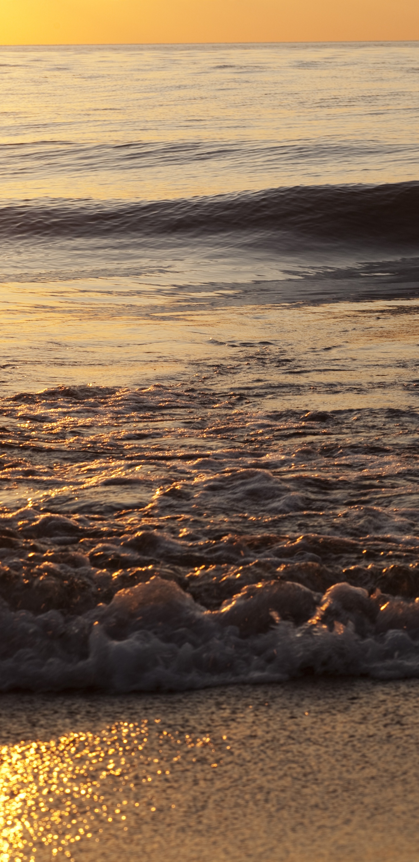 Vagues de la Mer se Brisant Sur le Rivage Pendant le Coucher du Soleil. Wallpaper in 1440x2960 Resolution