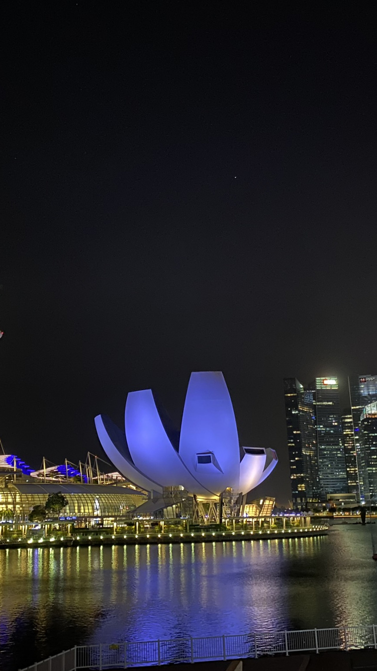 Singapore, The Helix Bridge, Helix Bridge, Marina Bay Sands Singapore, Marina Bay. Wallpaper in 750x1334 Resolution