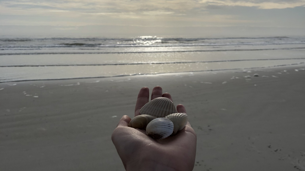 Meer, Wissenschaft, Physik, Gewässer, Finger. Wallpaper in 1280x720 Resolution