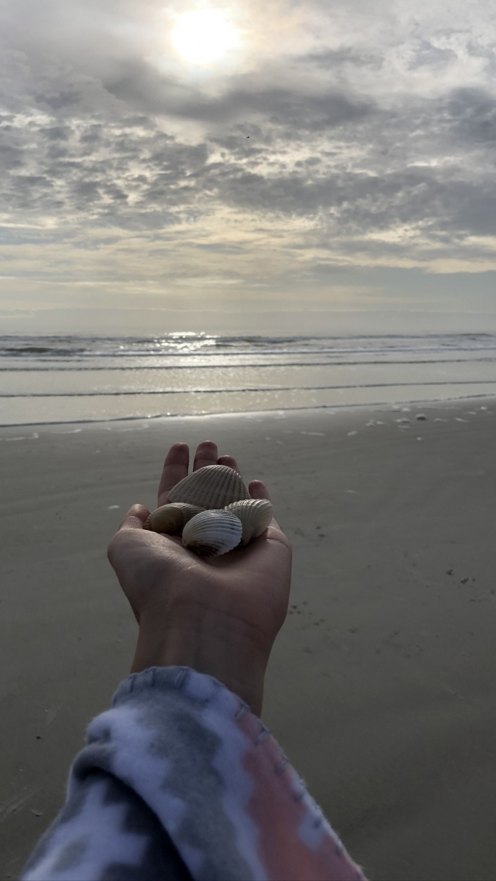 Meer, Wissenschaft, Physik, Gewässer, Finger. Wallpaper in 720x1280 Resolution