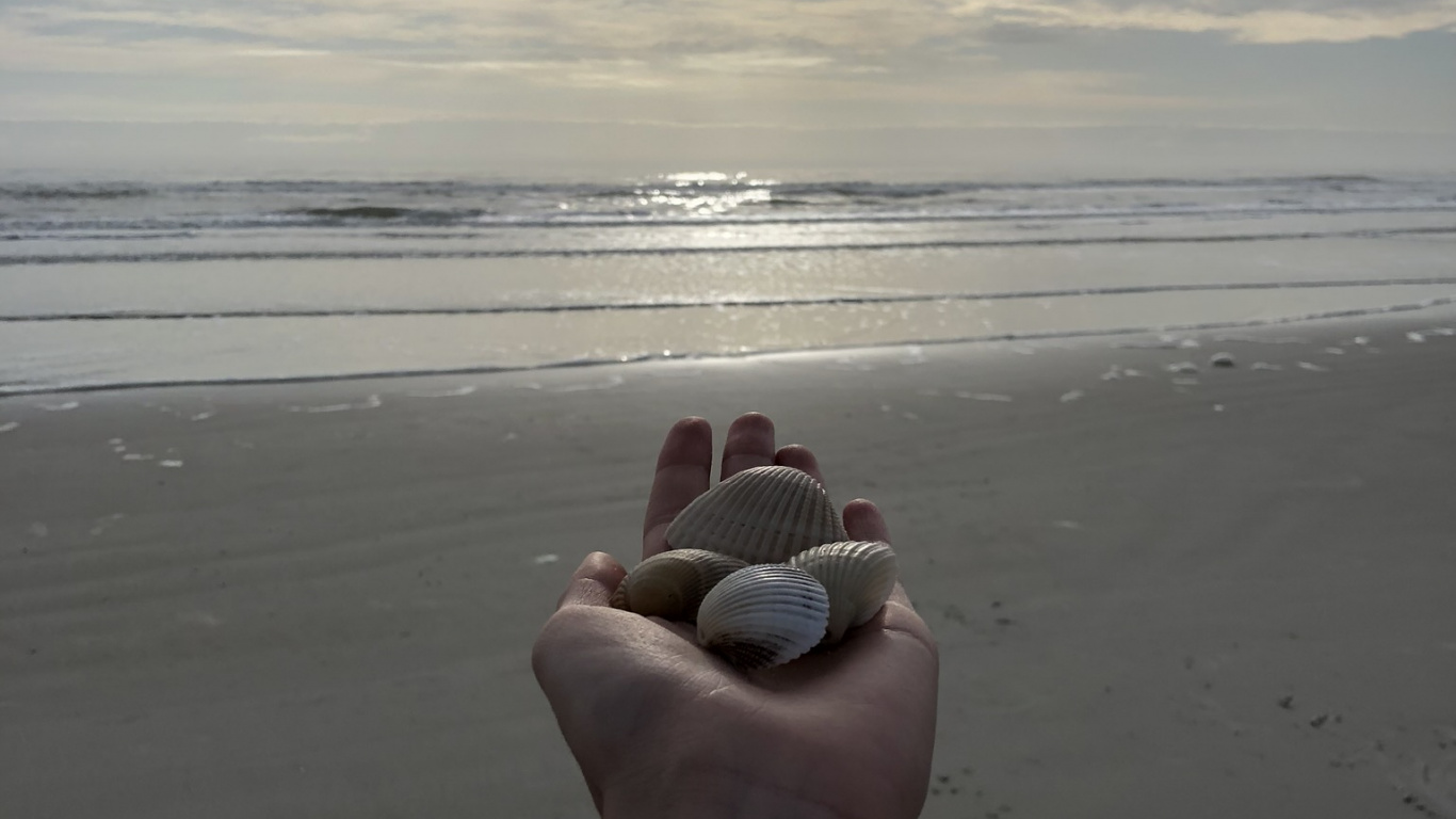 Sea, Science, Physics, Body of Water, Human. Wallpaper in 1366x768 Resolution