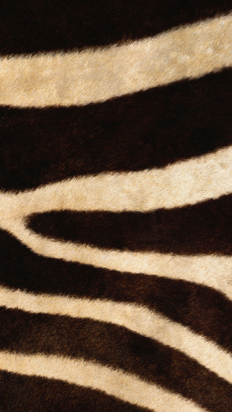 Schwarz-weißes Zebra-Textil. Wallpaper in 750x1334 Resolution