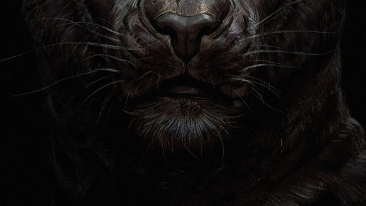 Royal Palace, Soundcloud, Carnivore, Felidae, Grey. Wallpaper in 1280x720 Resolution