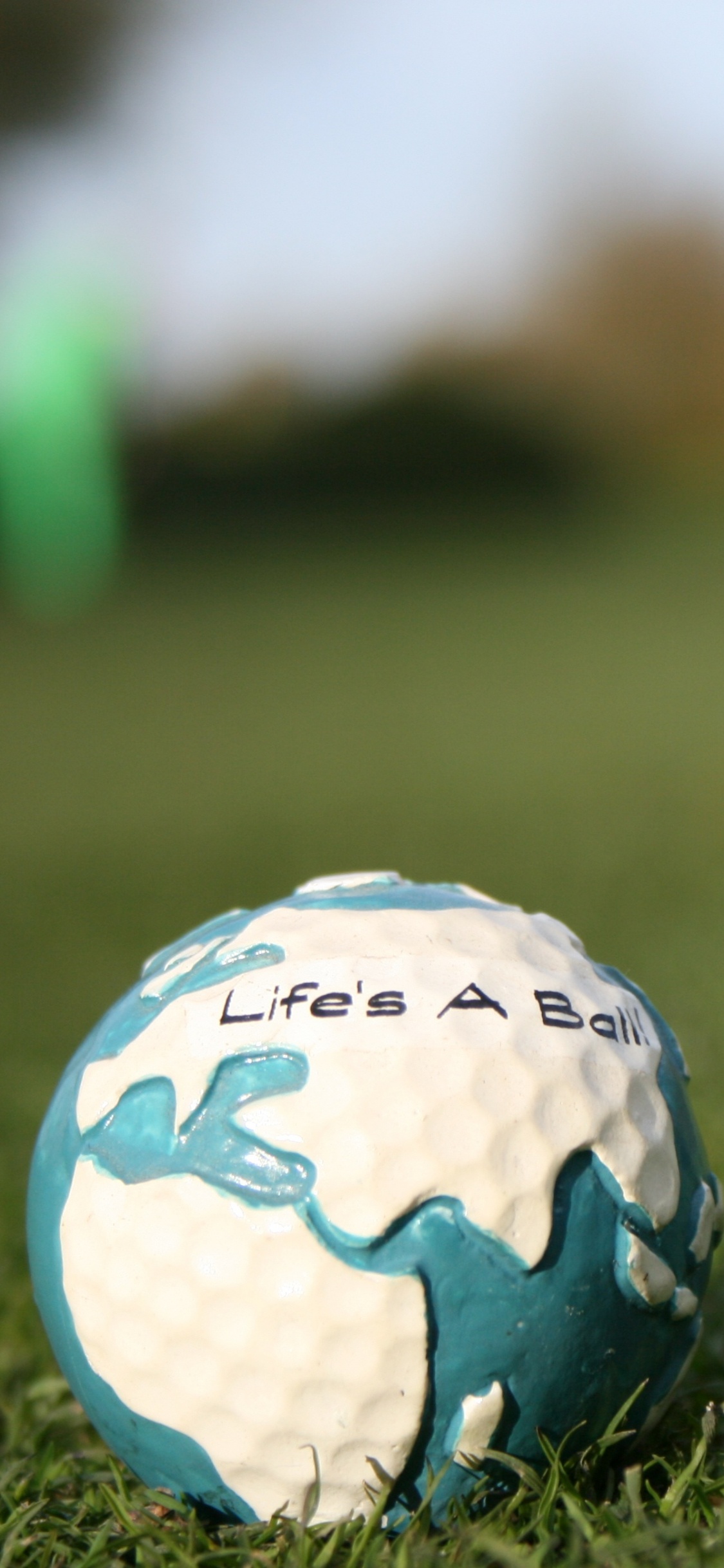 Balón de Fútbol Blanco y Negro en el Campo de Hierba Verde Durante el Día. Wallpaper in 1125x2436 Resolution