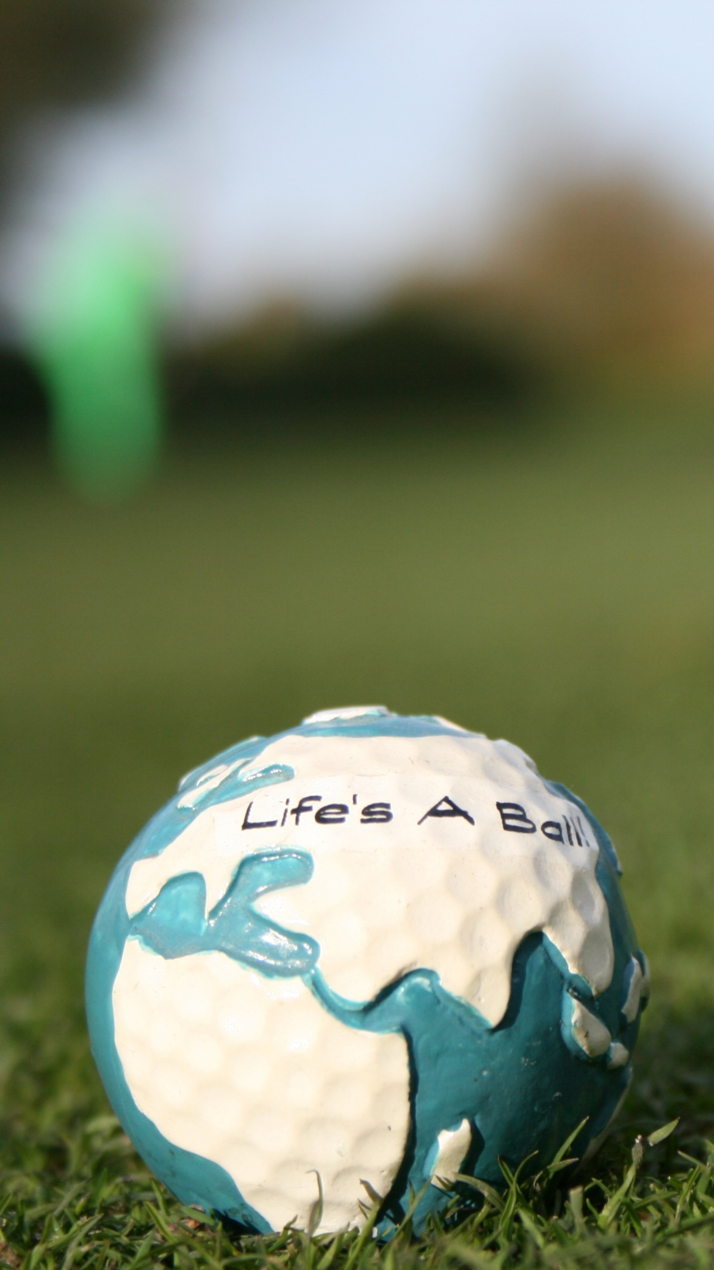 Weißer Und Schwarzer Fußball Auf Grünem Rasen Während Des Tages. Wallpaper in 1440x2560 Resolution