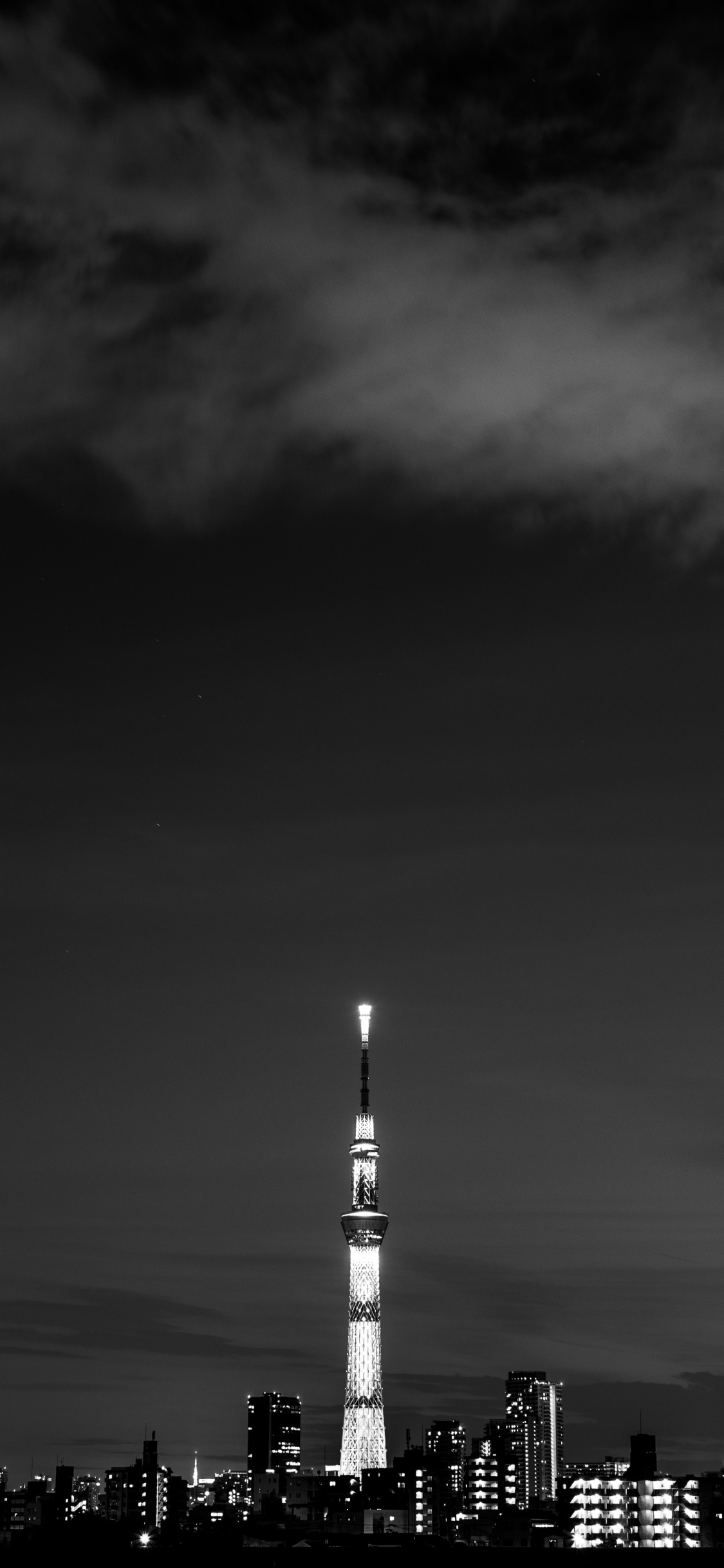 Photo en Niveaux de Gris Des Bâtiments de la Ville. Wallpaper in 1125x2436 Resolution