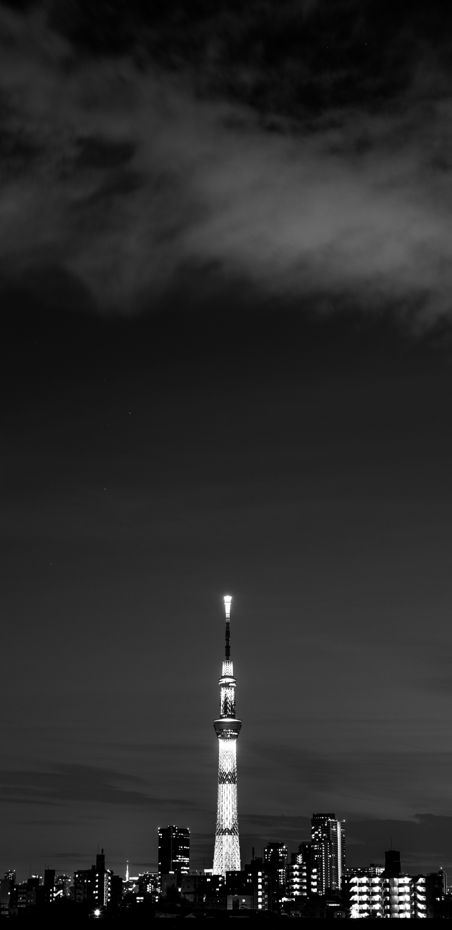 Photo en Niveaux de Gris Des Bâtiments de la Ville. Wallpaper in 1440x2960 Resolution