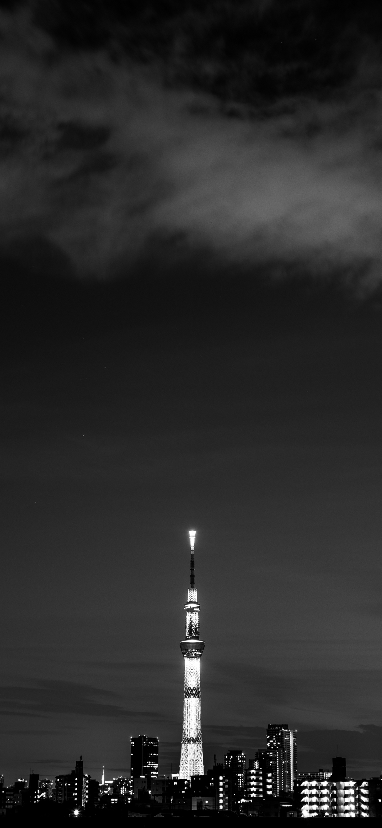 白色, 黑色的, 气氛, 黑色和白色的, KLCC东门塔 壁纸 1242x2688 允许