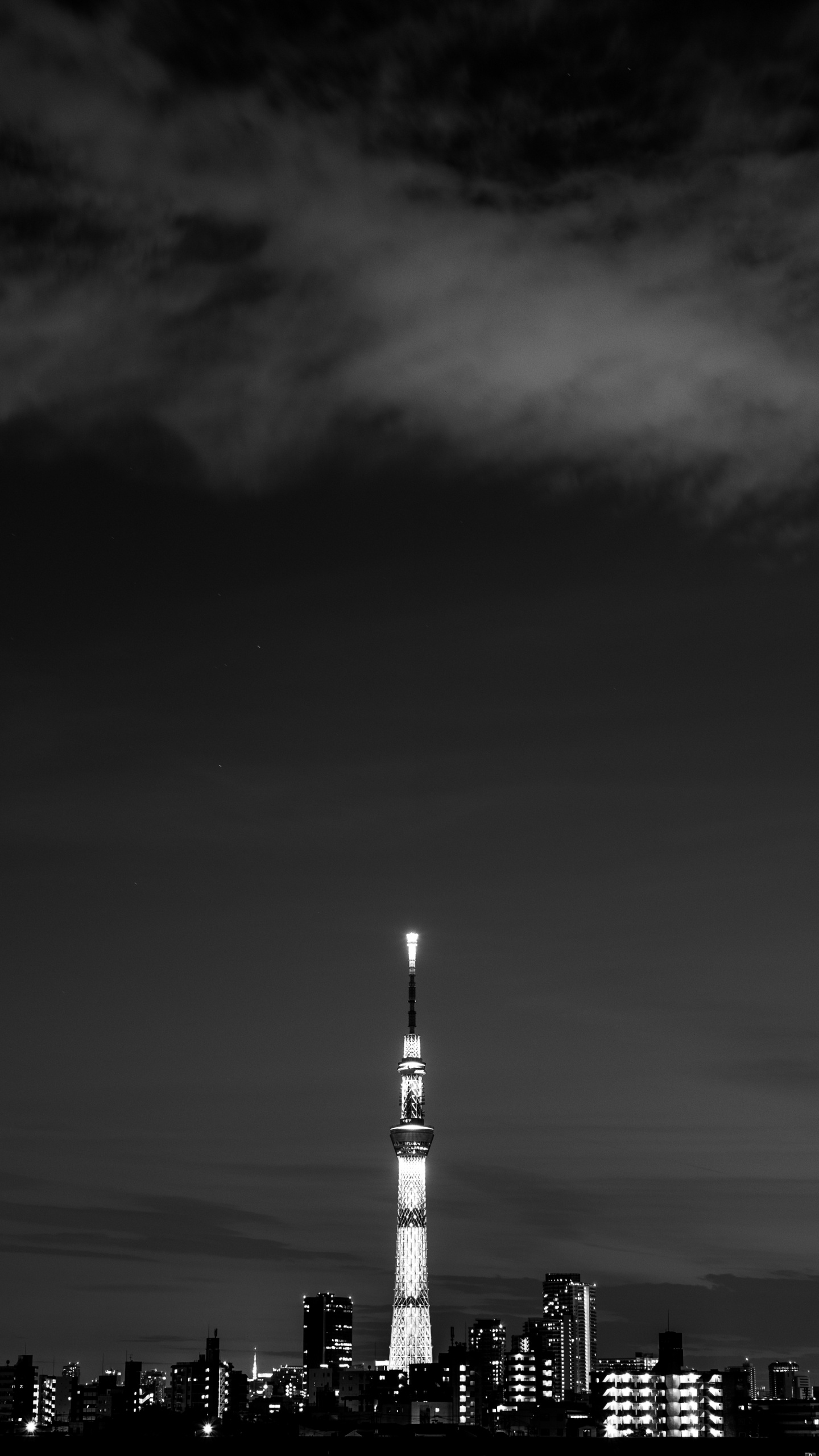 白色, 黑色的, 气氛, 黑色和白色的, KLCC东门塔 壁纸 1440x2560 允许