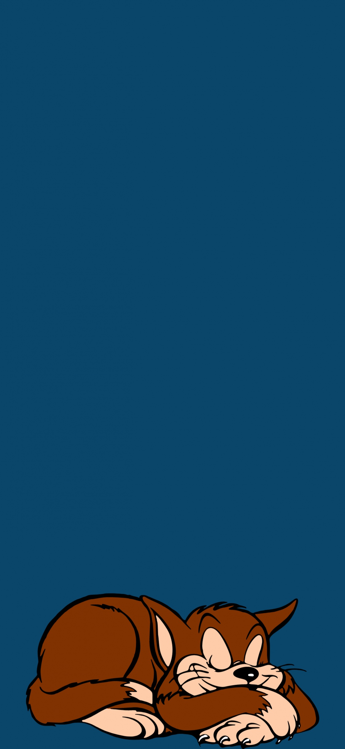 Ciel Bleu Avec Des Nuages Blancs. Wallpaper in 1125x2436 Resolution