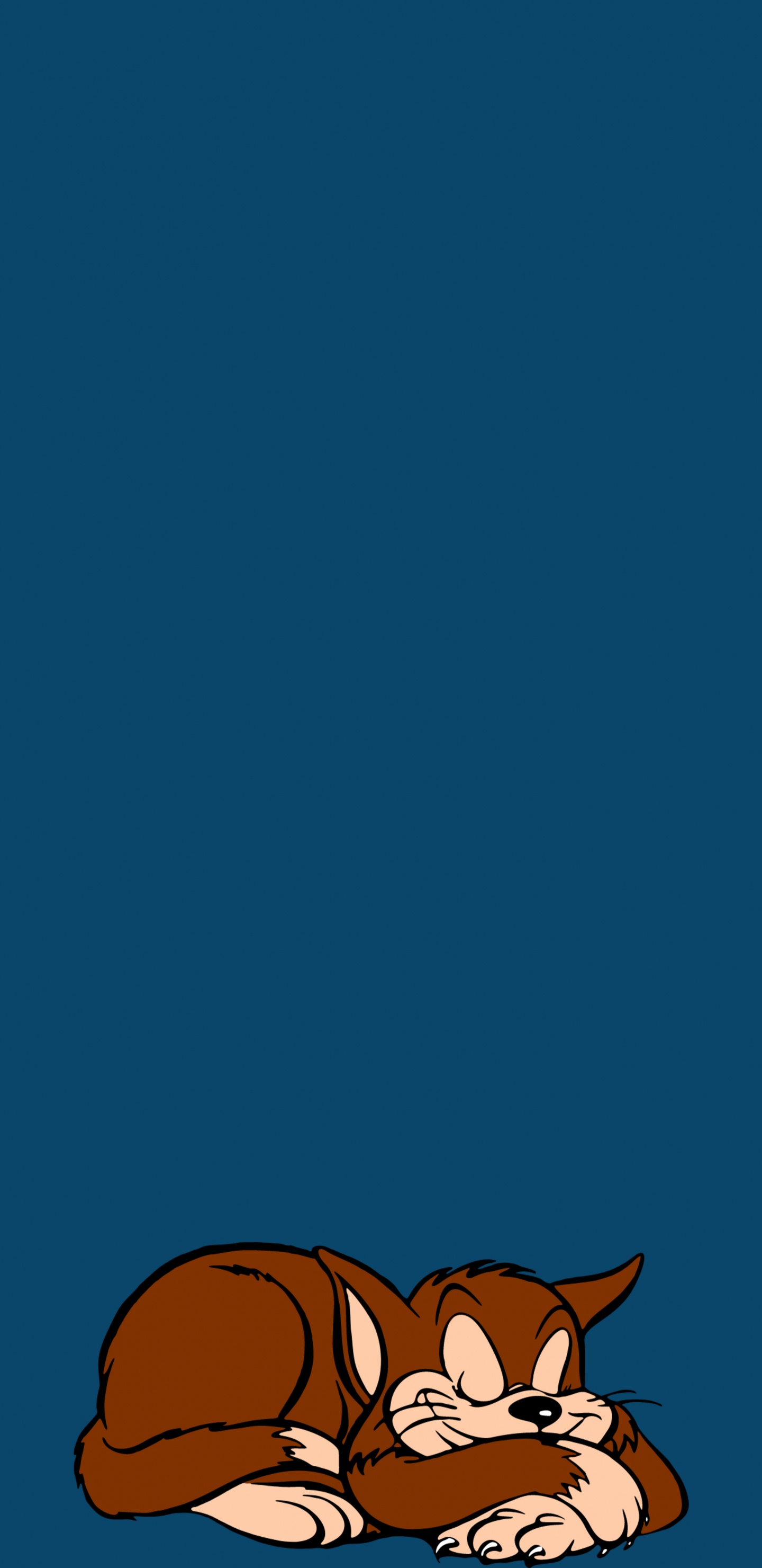 Ciel Bleu Avec Des Nuages Blancs. Wallpaper in 1440x2960 Resolution