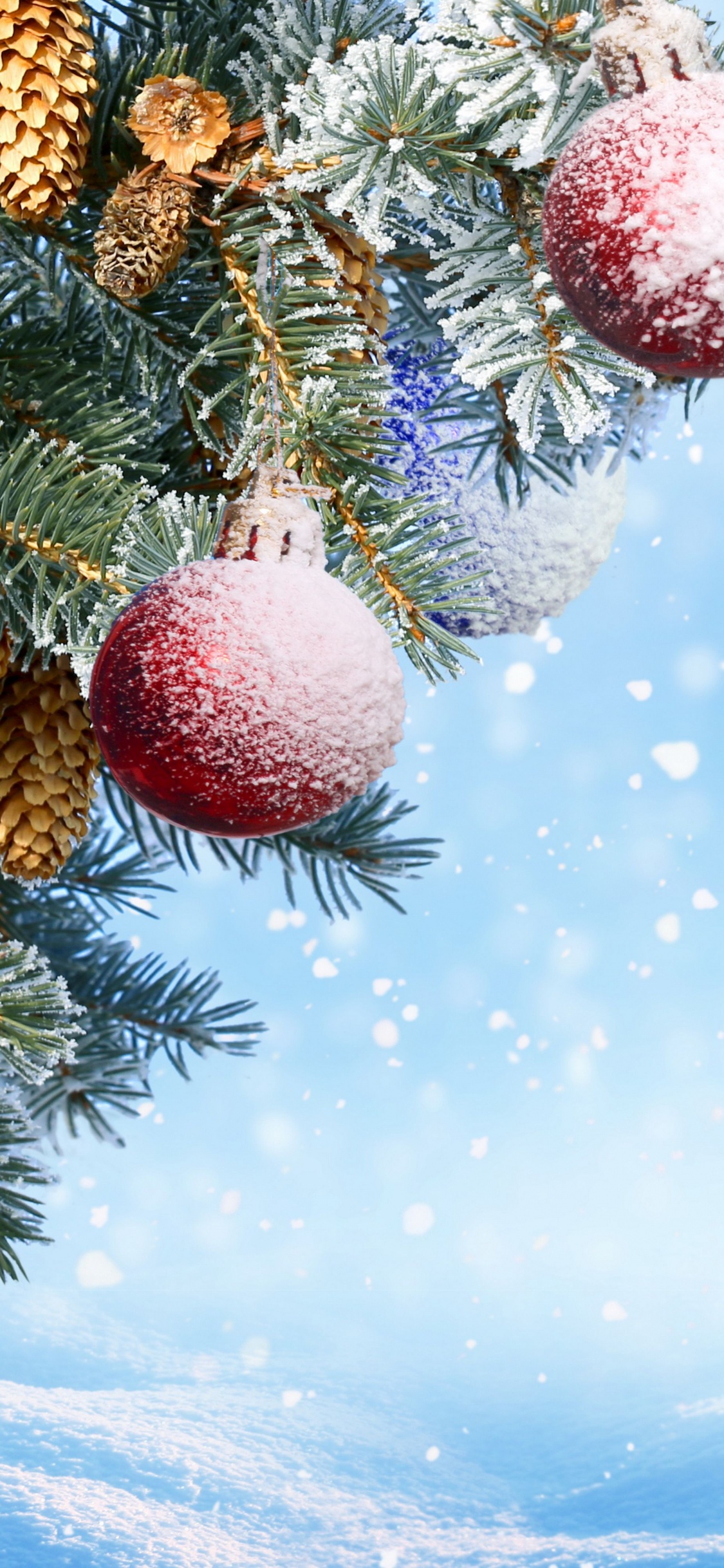 Nochevieja, El Día De Navidad, Adorno de Navidad, Sucursal, el Pino de la Familia. Wallpaper in 1125x2436 Resolution