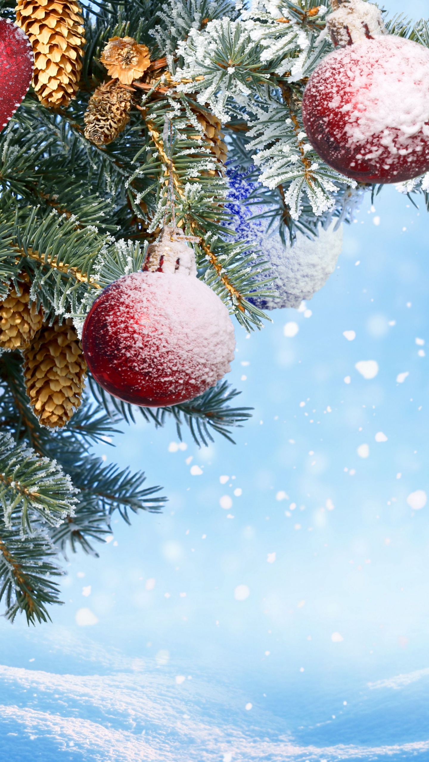 New Year, Christmas Day, Christmas Ornament, Tree, Fir. Wallpaper in 1440x2560 Resolution