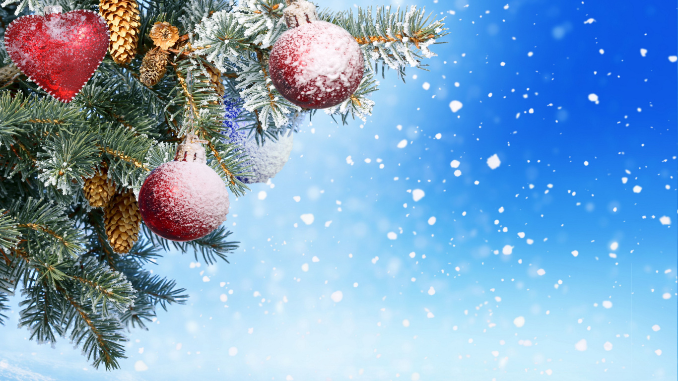 新的一年, 圣诞节那天, 圣诞节的装饰品, Fir, 松的家庭 壁纸 1366x768 允许