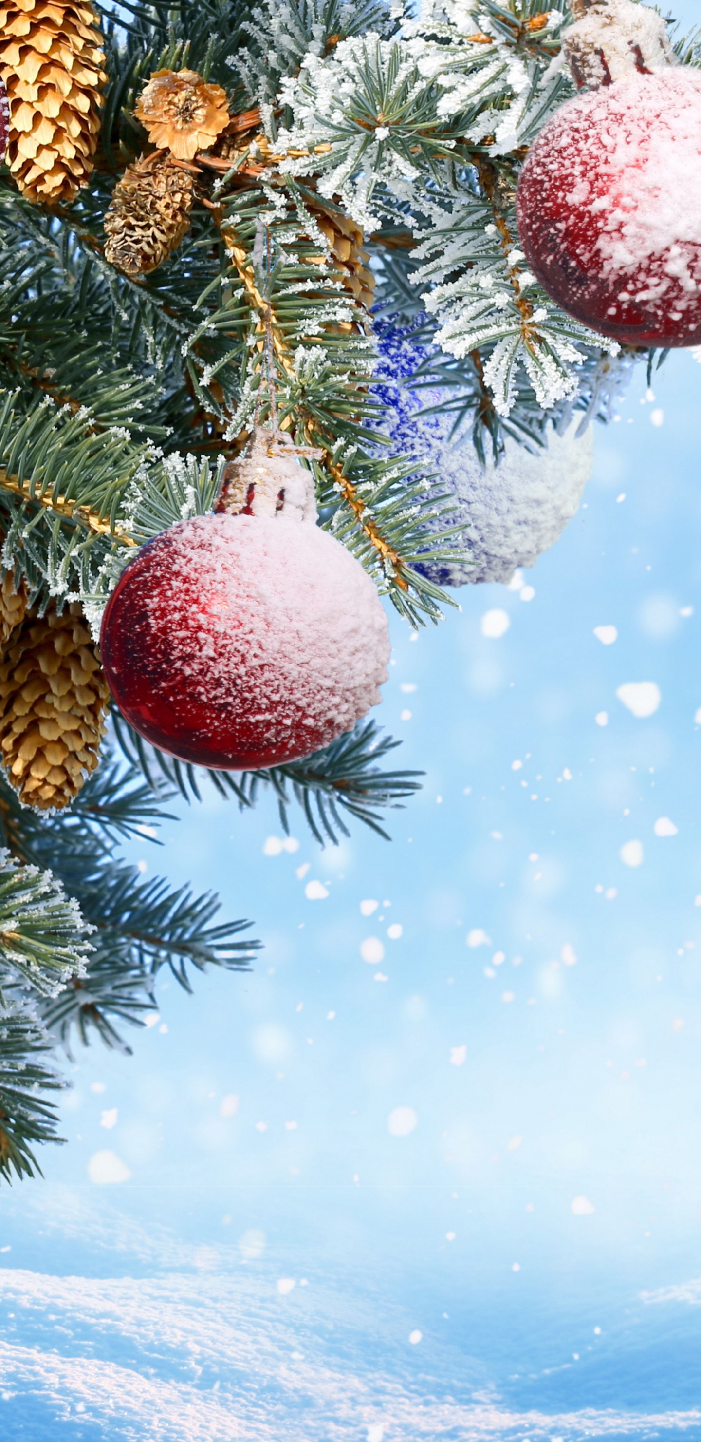 Neujahr, Weihnachten, Christmas Ornament, Baum, Fir. Wallpaper in 1440x2960 Resolution