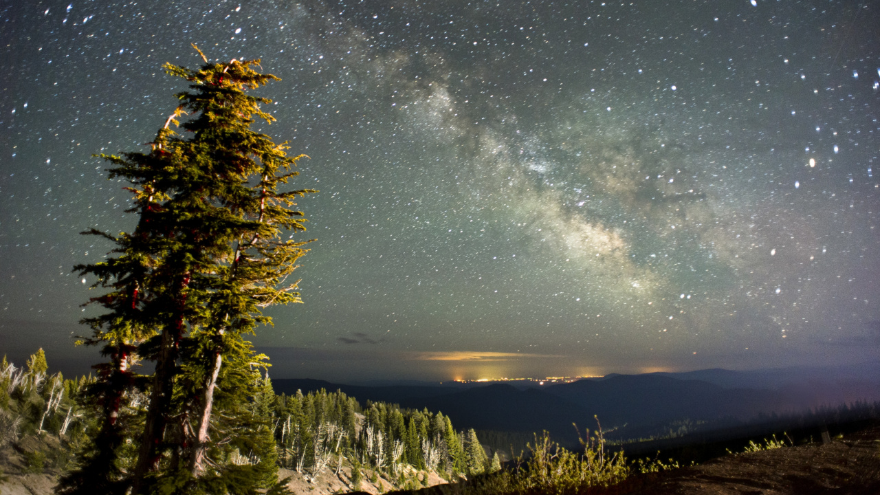 夜晚的天空, 明星, 性质, 生物群落, 气氛 壁纸 1280x720 允许