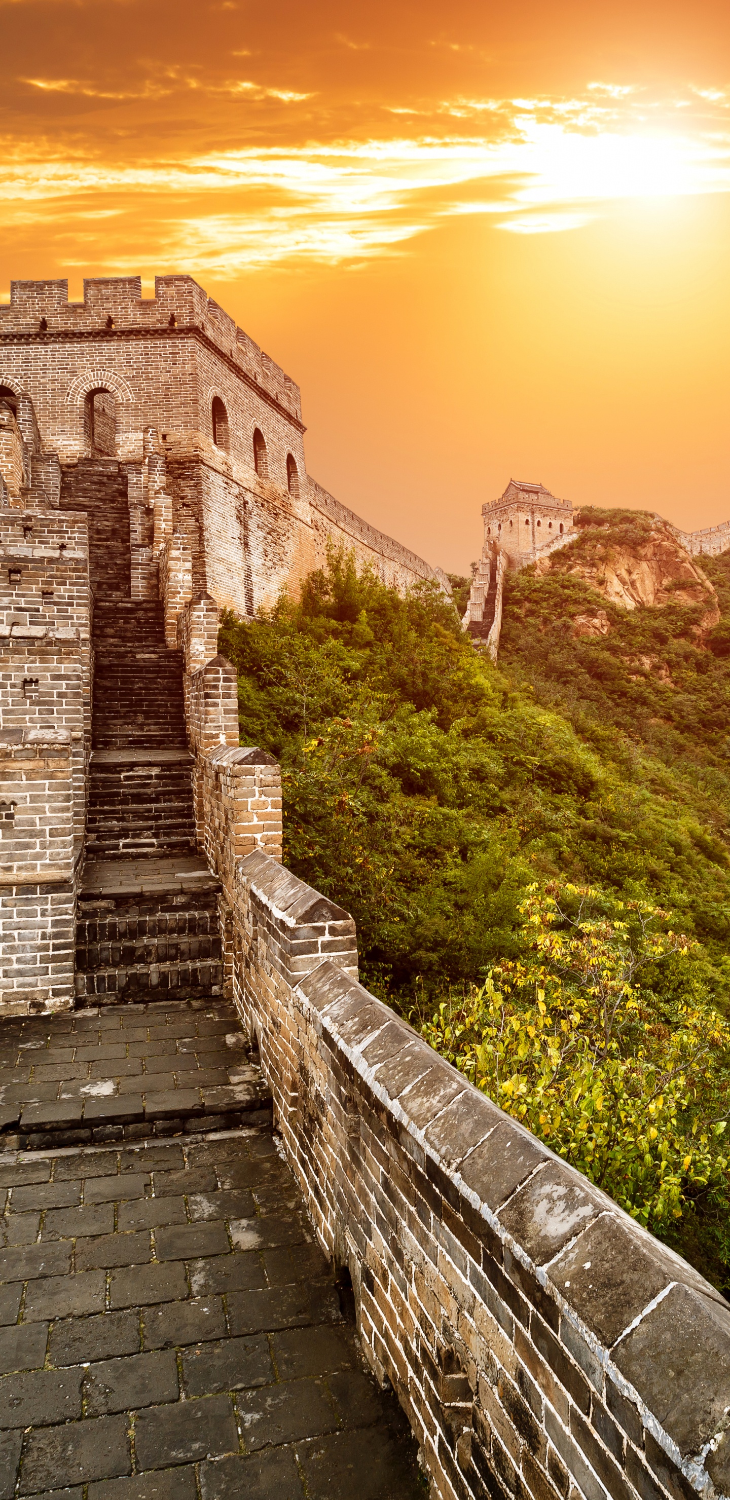 Sentier en Brique Brune Près du Champ D'herbe Verte Pendant la Journée. Wallpaper in 1440x2960 Resolution