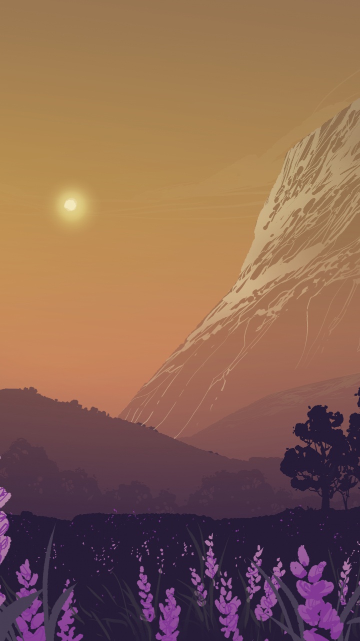 Natur, Lavendel, Naturlandschaft, Purpur, Lila. Wallpaper in 720x1280 Resolution