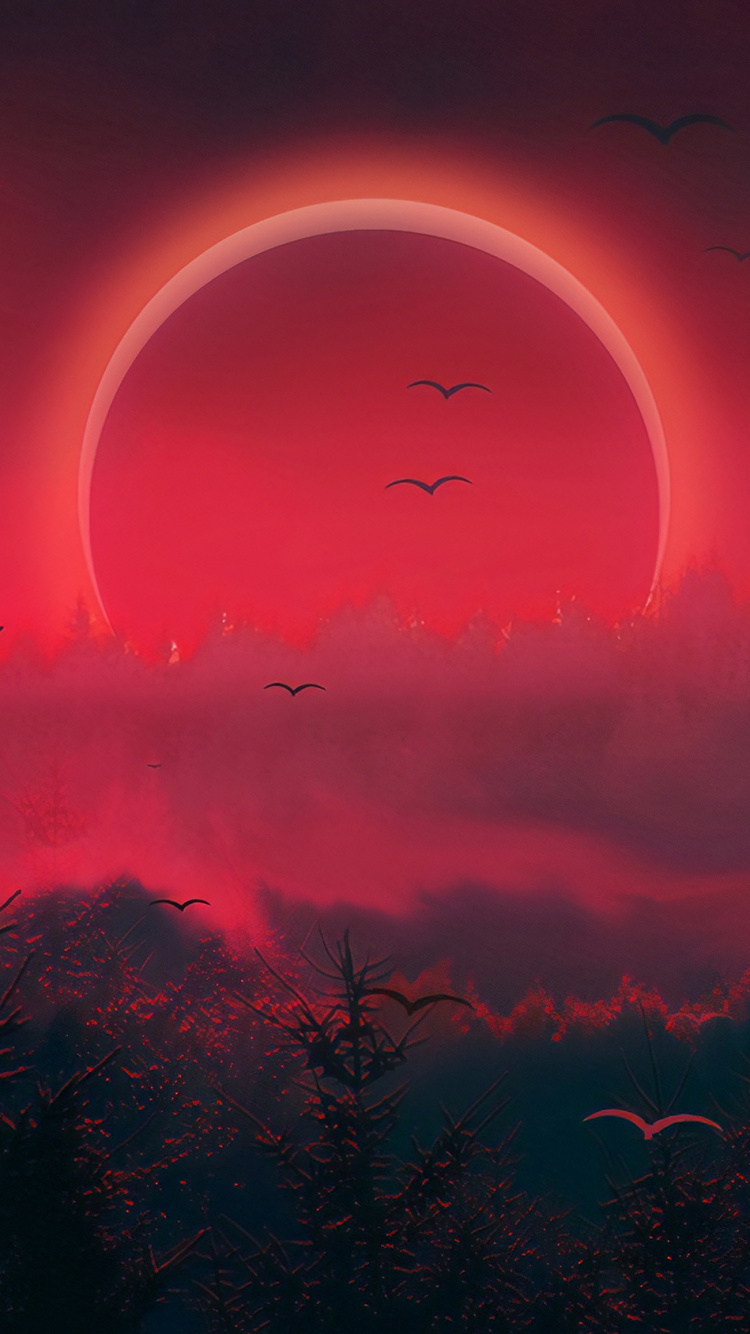 Rojo, Evento Celestial, Ambiente, Puesta, Amanecer. Wallpaper in 750x1334 Resolution