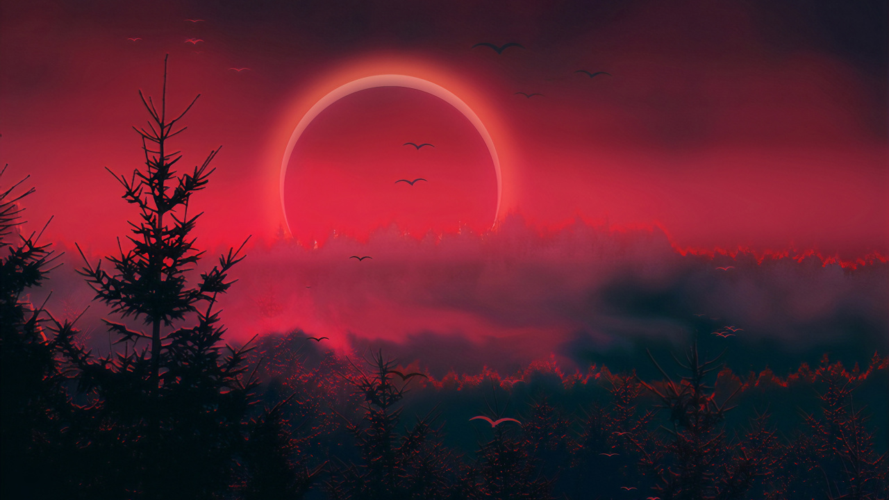 Red, Celestial Event, Atmosphere, Night, Tree. Wallpaper in 1280x720 Resolution