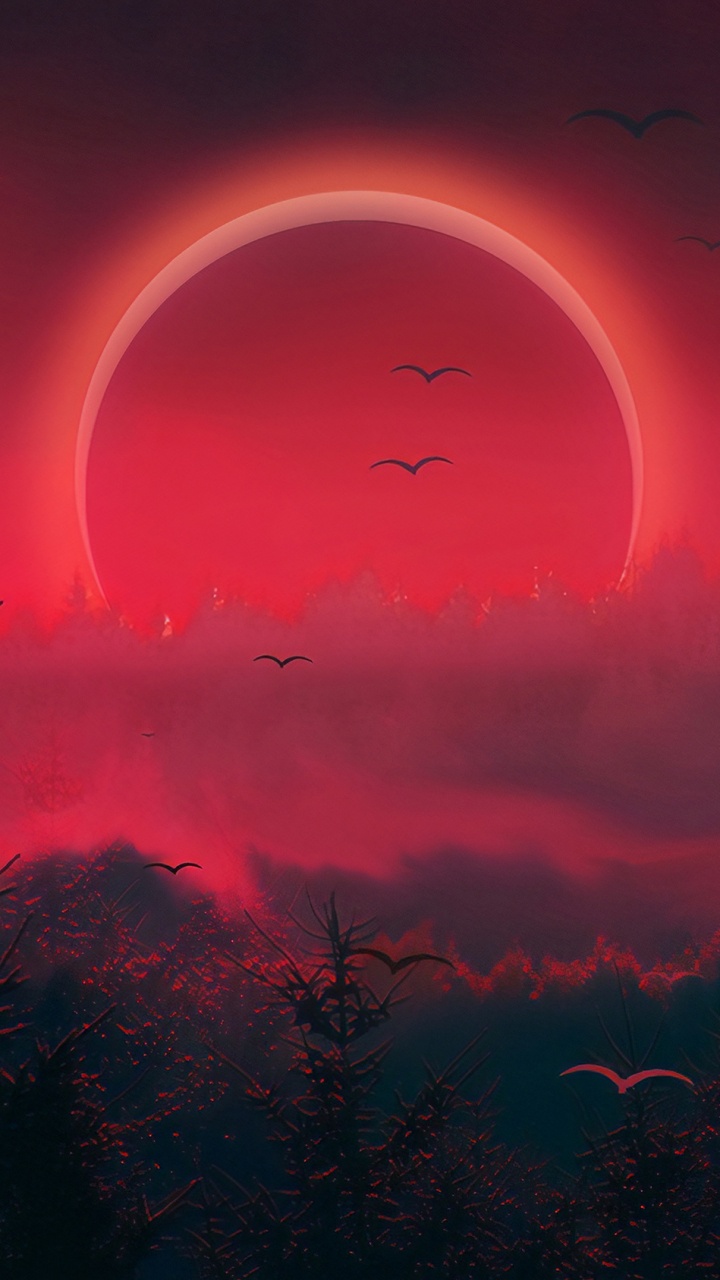 Red, Celestial Event, Atmosphere, Night, Tree. Wallpaper in 720x1280 Resolution