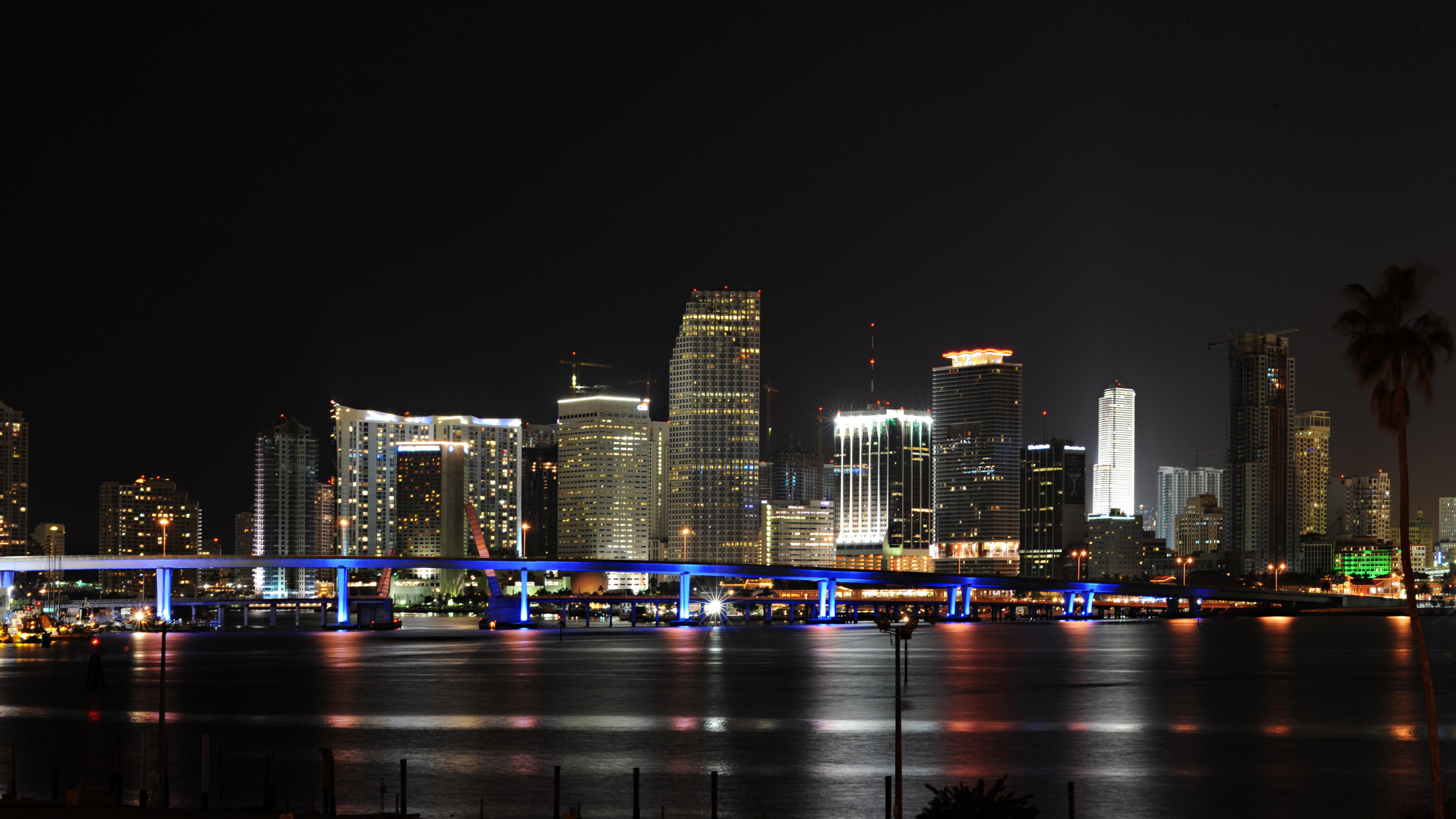 Horizon de la Ville Pendant la Nuit. Wallpaper in 2560x1440 Resolution