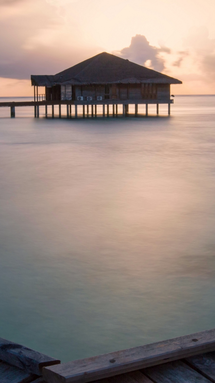 Muelle de Madera Marrón Sobre el Cuerpo de Agua Durante el Día. Wallpaper in 750x1334 Resolution