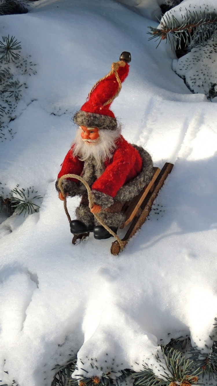 Neige, Hiver, Congélation, Famille Des Pins, Sapin. Wallpaper in 750x1334 Resolution