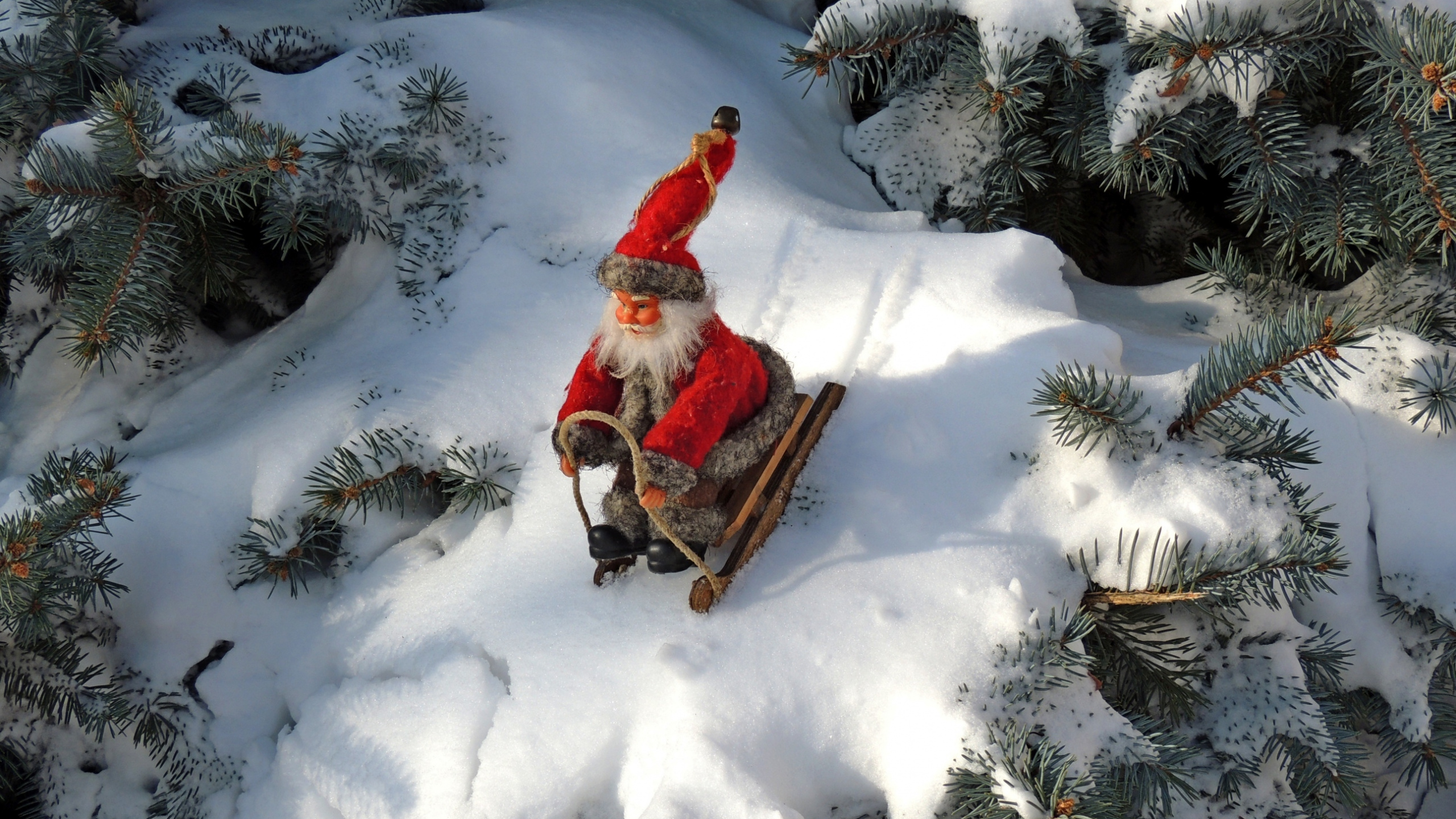 Snow, Winter, Freezing, Christmas, Tree. Wallpaper in 2560x1440 Resolution