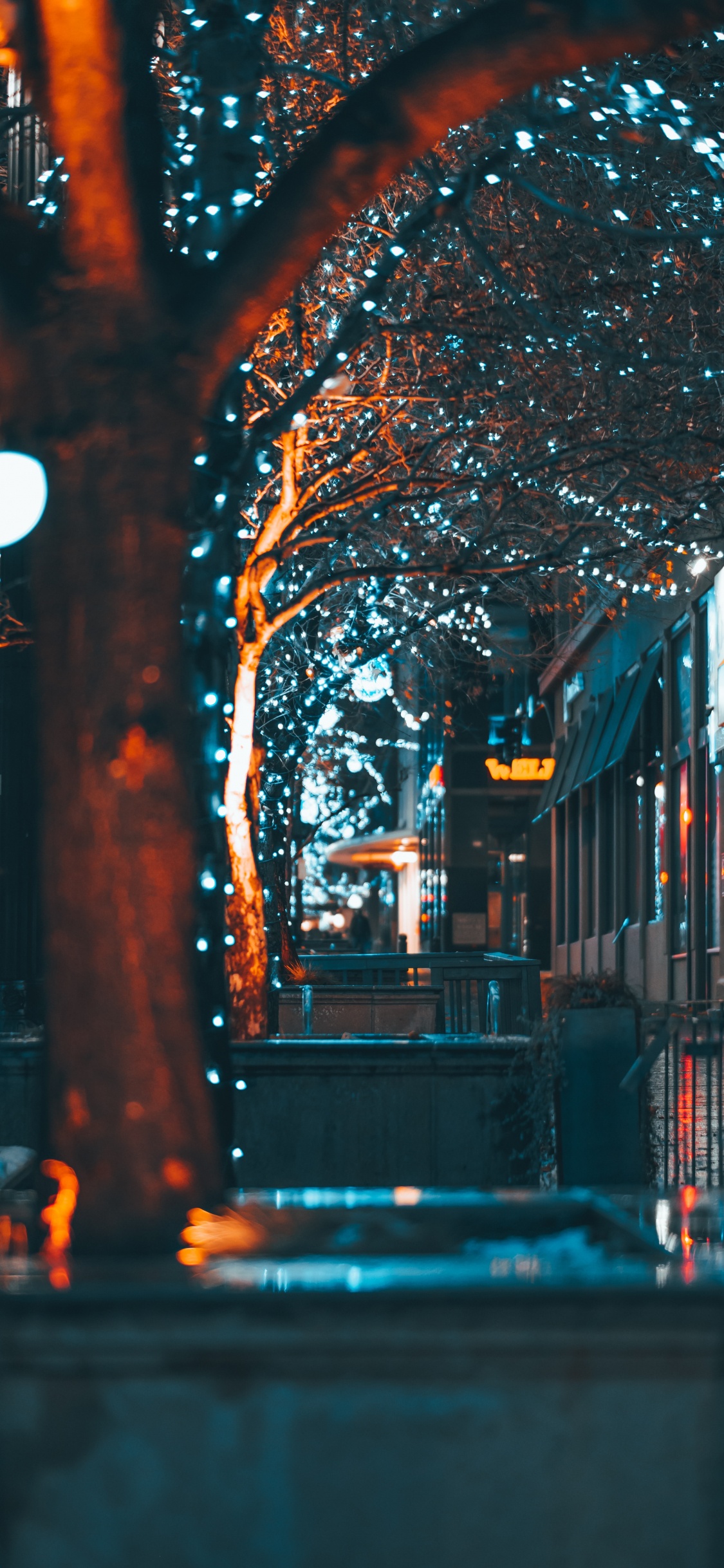 Brauner Baum Mit Lichterketten Während Der Nacht. Wallpaper in 1125x2436 Resolution