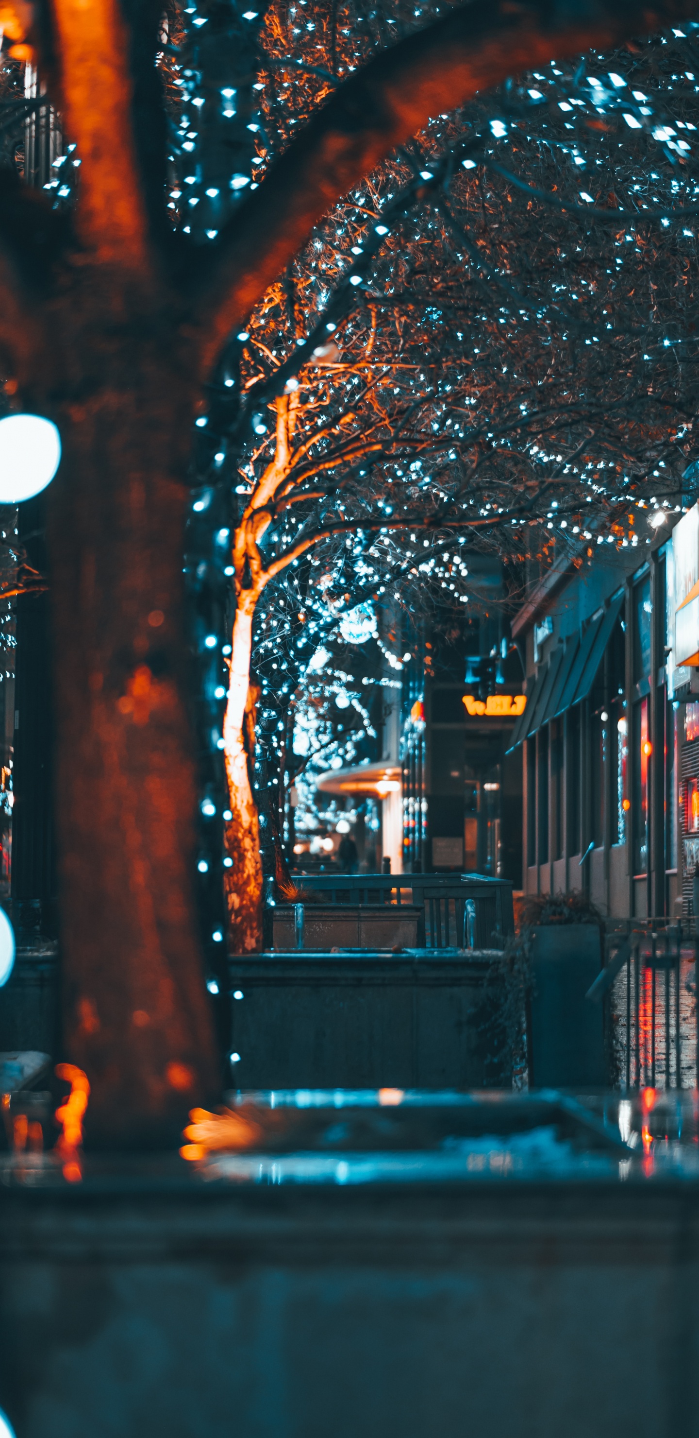 光, 建筑, 城市, 基础设施, 反射 壁纸 1440x2960 允许