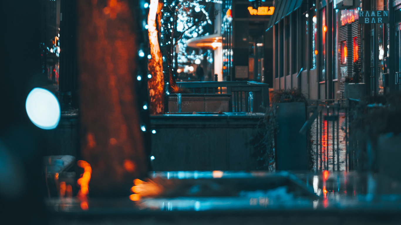 Brown Tree With String Lights During Night Time. Wallpaper in 1366x768 Resolution