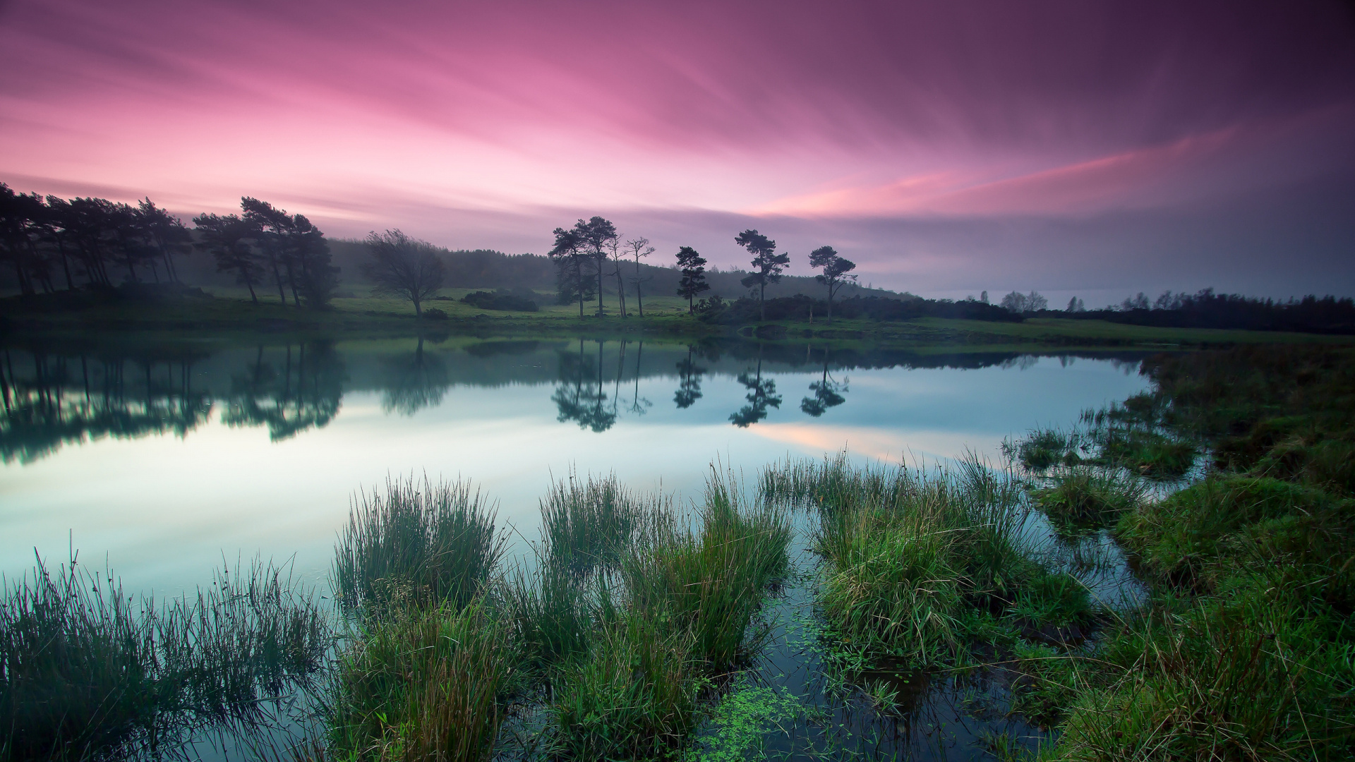 Green Grass on Lake During Daytime. Wallpaper in 1920x1080 Resolution