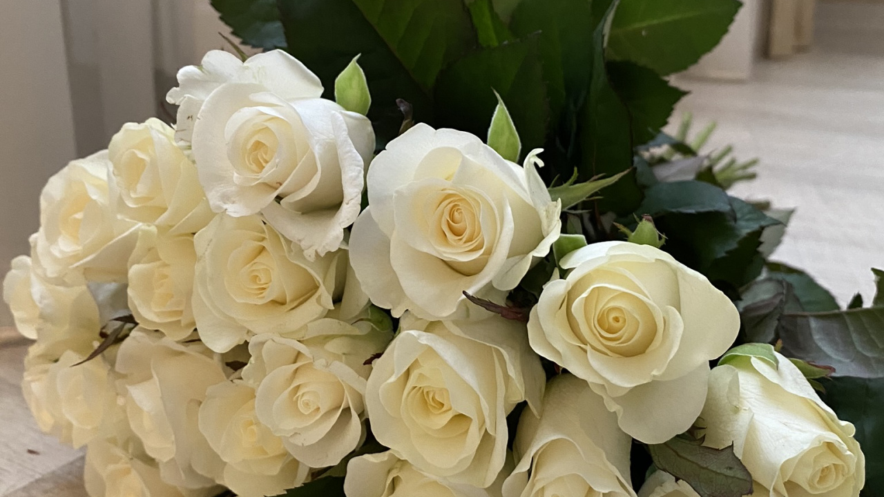 Blumenmuster, Garten Rosen, Schnittblumen, Künstliche Blume, Rose. Wallpaper in 1280x720 Resolution